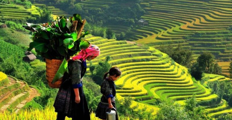 From Sapa: Full-Day Trekking Tour Lao Chai & Ta Van Villages - What the Tour Includes and What to Prepare
