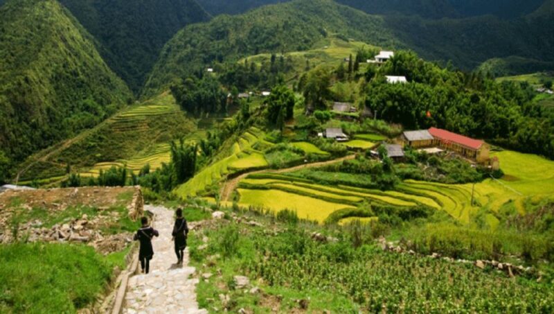 From Sapa: Full-Day Trekking Tour Lao Chai & Ta Van Villages - Who Should Consider This Tour?