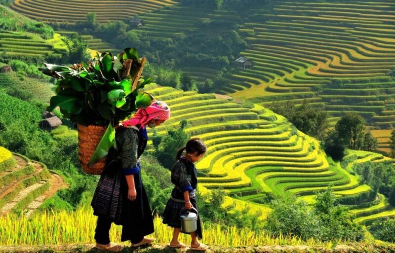 From Sapa: Full-Day Trekking Tour Lao Chai & Ta Van Villages - The Sum Up