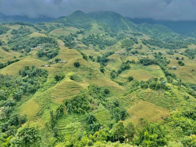 From Sapa: Full-Day Trekking Tour Lao Chai & Ta Van Villages - FAQs