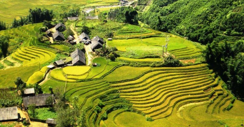 From Sapa: Terrace Fields and Local Villages Trek with Lunch - Who Should Consider This Tour?
