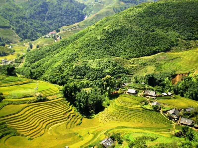 From Sapa: Terrace Fields and Local Villages Trek with Lunch - Final Thoughts
