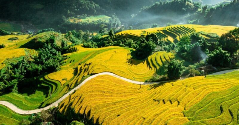 From Sapa: Terrace Fields and Local Villages Trek with Lunch - FAQs