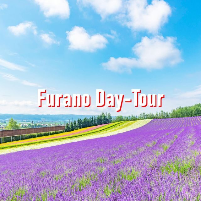 From Sapporo: 10-hour Customized Private Tour to Furano - Exploring Hokkaido’s Winter Magic