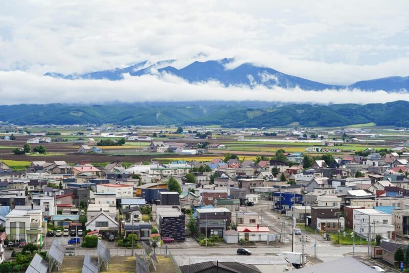 From Sapporo: Furano and Biei Vibrant Fields Tour - Key Points