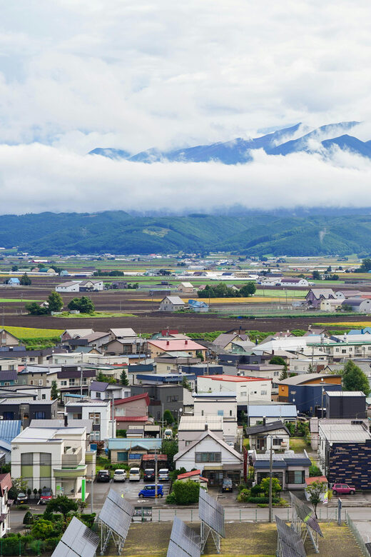 From Sapporo: Furano and Biei Vibrant Fields Tour - FAQ