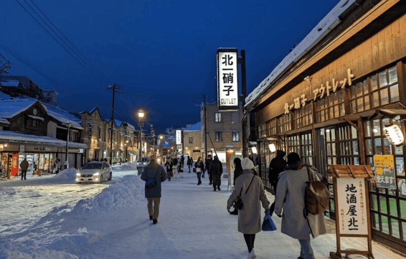 From Sapporo: Private Customized Day Tour to Otaru - Exploring the Itinerary: What to Expect from This Tour