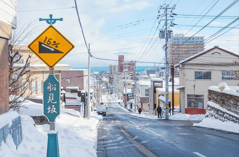 From Sapporo: Private Customized Day Tour to Otaru - Final Thoughts