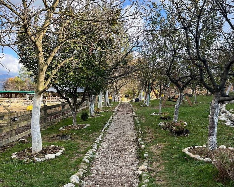 From Sarajevo: Visoko Pyramids, Plantations & Horse Riding - An Impressive Day Trip from Sarajevo: Exploring Visoko’s Mysterious Pyramids and Rural Charm