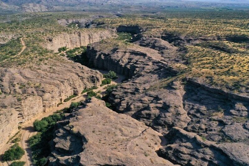 From Scottsdale: Sonoran Desert & Tonto National Forest Trip - Exploring the Desert in Style and Comfort