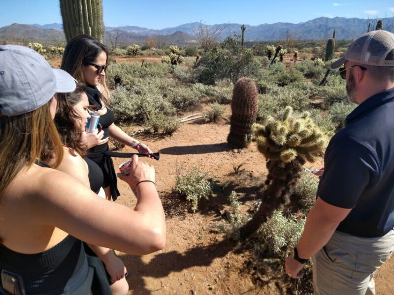 From Scottsdale: Sonoran Desert & Tonto National Forest Trip - Wildlife & Natural Wonders