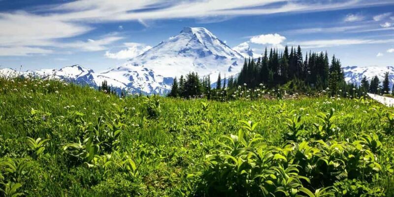 From Seattle - Enchanting Mt Baker & Cascade mountains tours - Key Points