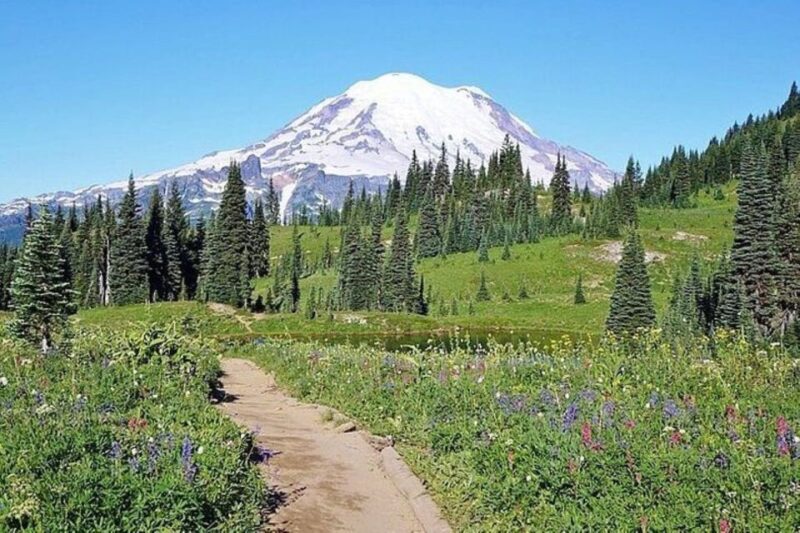 From Seattle: Full-Day Mt Rainier National Park Tour - A Closer Look at the Experience