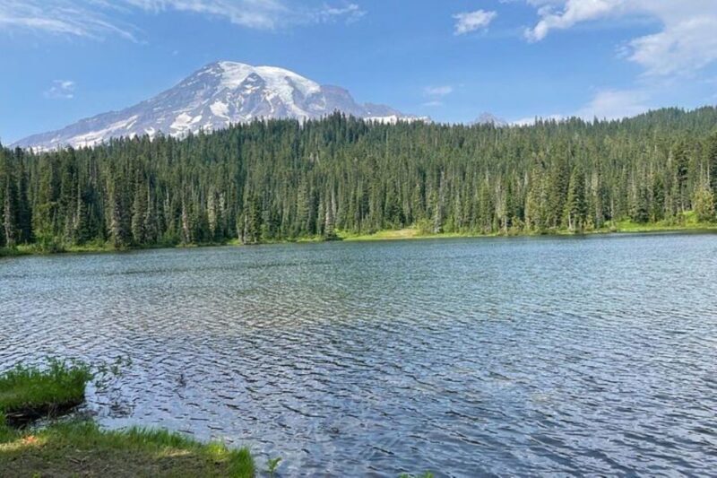 From Seattle: Full-Day Mt Rainier National Park Tour - Final Thoughts: Who Will Love This Tour?