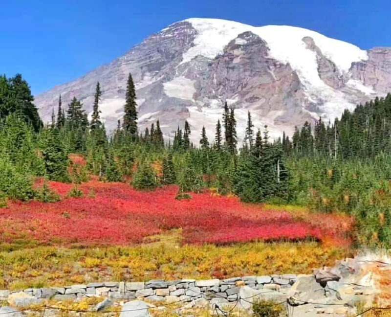 From Seattle: Mount Rainier Guided Day Tour - Key Points