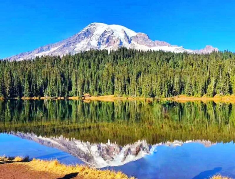 From Seattle: Mount Rainier Guided Day Tour - Exploring Mount Rainier in Comfort and Style