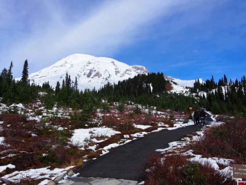 From Seattle: Mount Rainier National Park Guided Tour - An In-Depth Look at the Mount Rainier Guided Tour