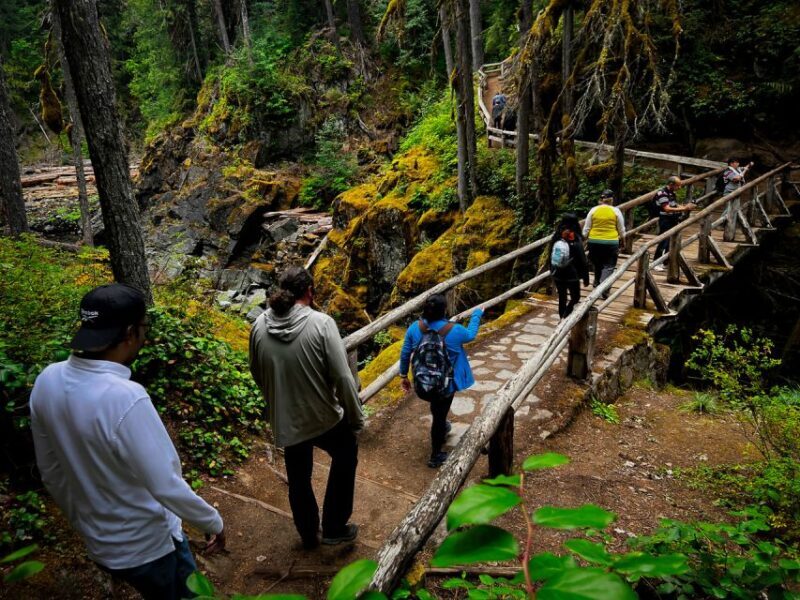 From Seattle: Mount Rainier National Park Guided Tour - FAQs