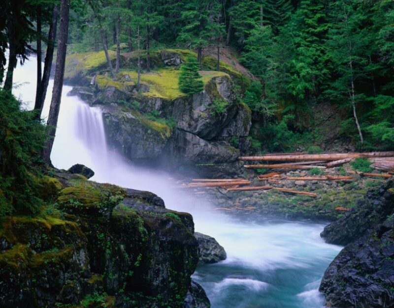 From Seattle: Mount Rainier National Park Guided Tour - Final Thoughts