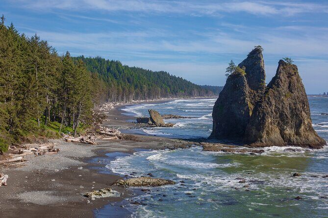 From Seattle Private Hoh Rain Forest and Rialto Beach Tour - The Itinerary Breakdown: A Day in Olympic National Park