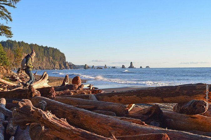 From Seattle Private Hoh Rain Forest and Rialto Beach Tour - Who This Tour Is Best For