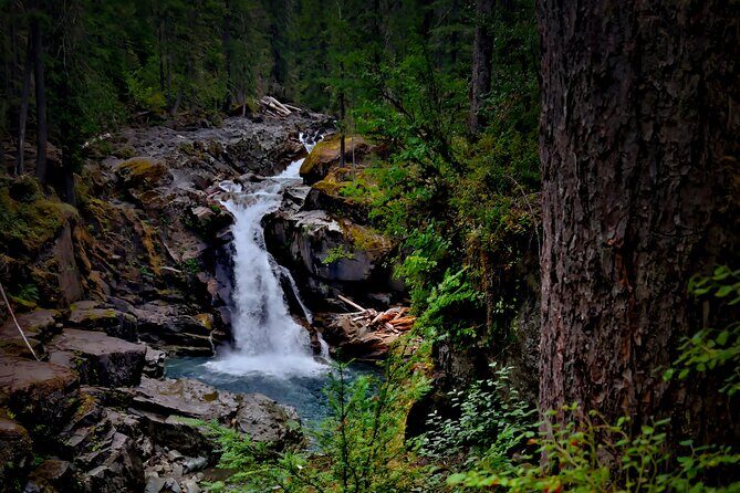 From Seattle: Private Tour to Mt. Rainier - A Detailed Look at the Private Mt. Rainier Tour