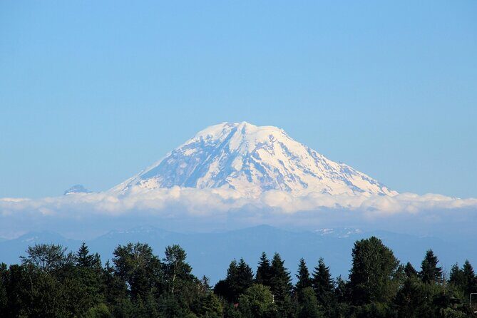 From Seattle:Hiking in Mount Rainier Private Tour - An In-Depth Look at the Mount Rainier Private Tour