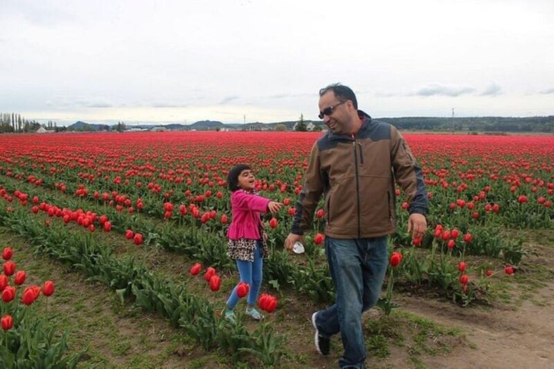 From Seattle:Tulip Festival at Skagit Valley and La Conner - From Seattle: Tulip Festival at Skagit Valley and La Conner