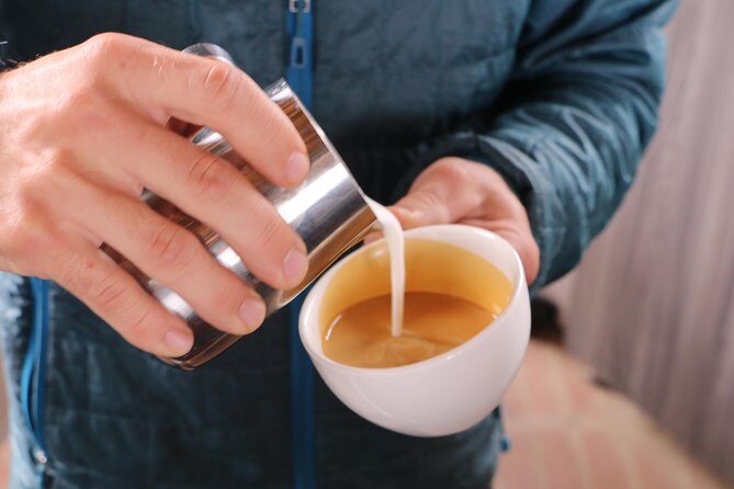 From Seed to Cup - Coffee Experience at La Palma y El Tucan - Key Points