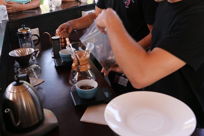 From Seed to Cup - Coffee Experience at La Palma y El Tucan - An In-Depth Look at the Coffee Farm Tour