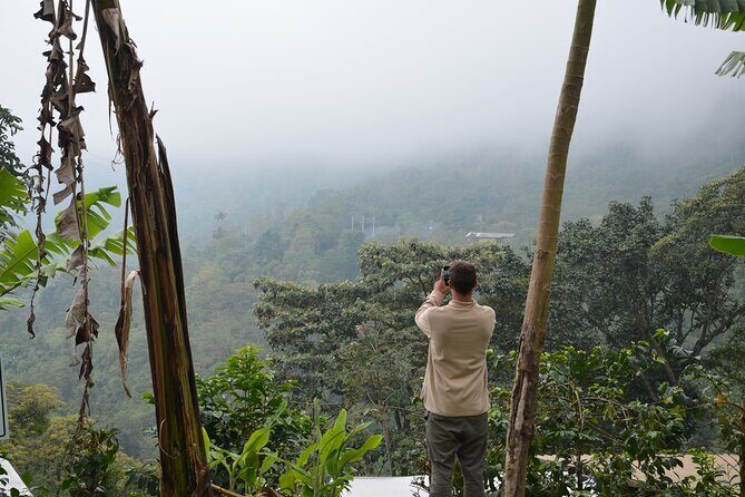 From Seed to Cup - Coffee Experience at La Palma y El Tucan - Frequently Asked Questions