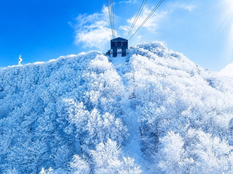 From Sendai: Ginzan Onsen& Zao Frost-Covered Trees& Fox Village Tour - How to prepare for a winter day out