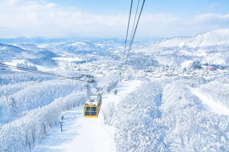 From Sendai: Ginzan Onsen& Zao Frost-Covered Trees& Fox Village Tour - Should you book it?