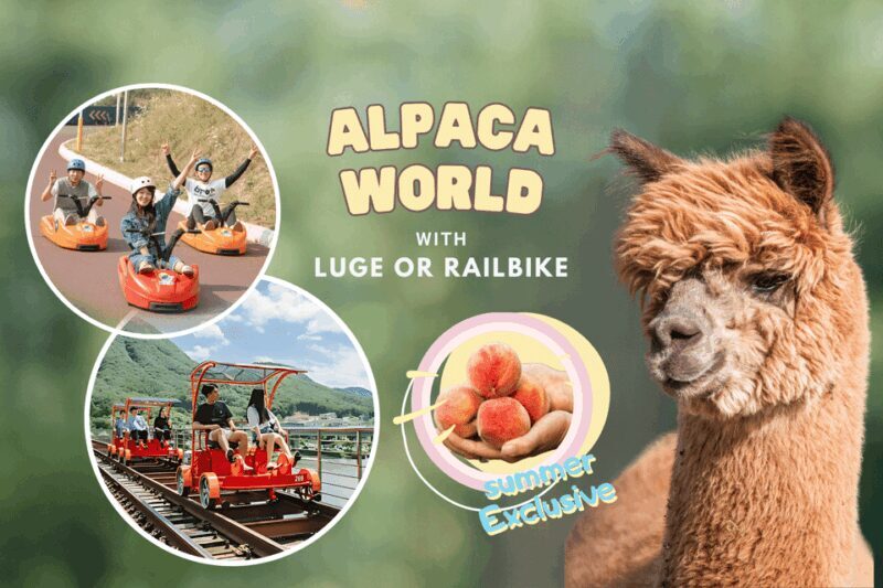 From Seoul: Alpaca Farm with Rail bike/ Luge Racing - Practical Tips for Travelers