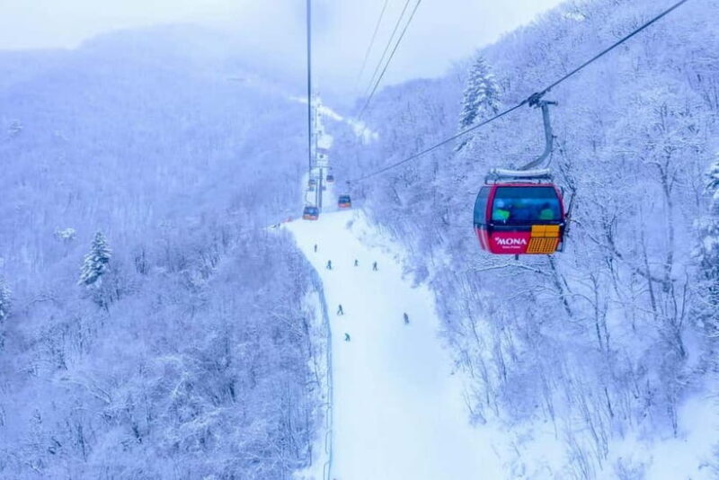 From Seoul: Balwangsan Cable Car and Daegwallyeong Ranch - In-Depth Review