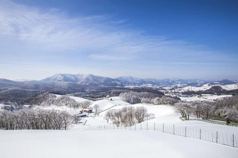 From Seoul: Balwangsan Cable Car and Daegwallyeong Ranch - FAQ