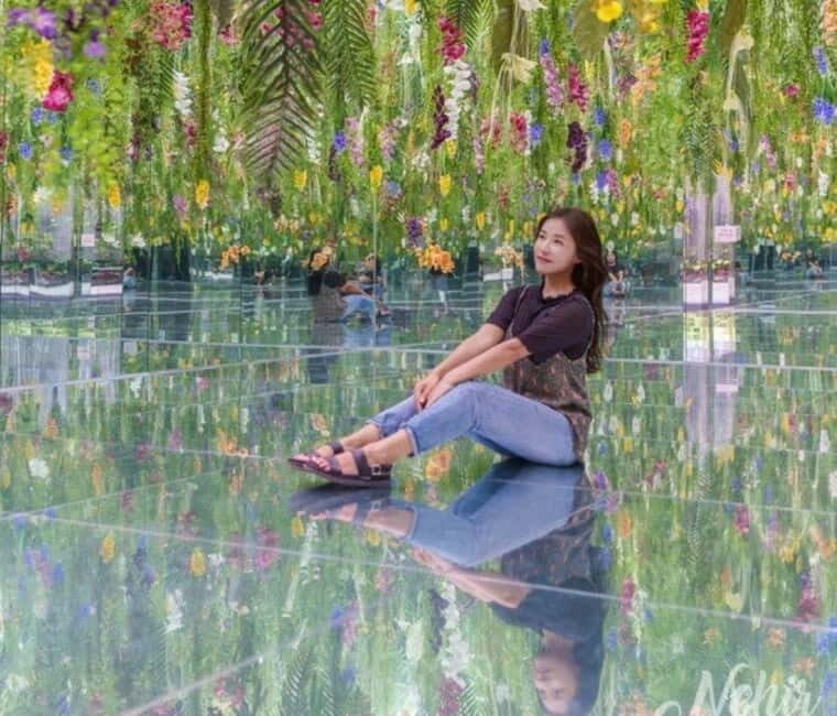 From Seoul: Begonia Bird Park, Rail Bike and Garden Tour - Who is This Tour Best For?