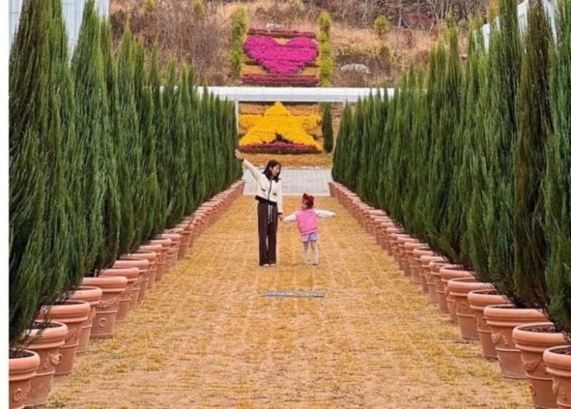 From Seoul: Begonia Bird Park, Rail Bike and Garden Tour - The Sum Up