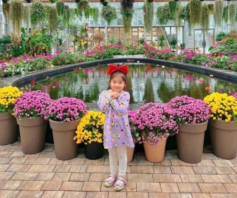 From Seoul: Begonia Bird Park, Rail Bike and Garden Tour - FAQ