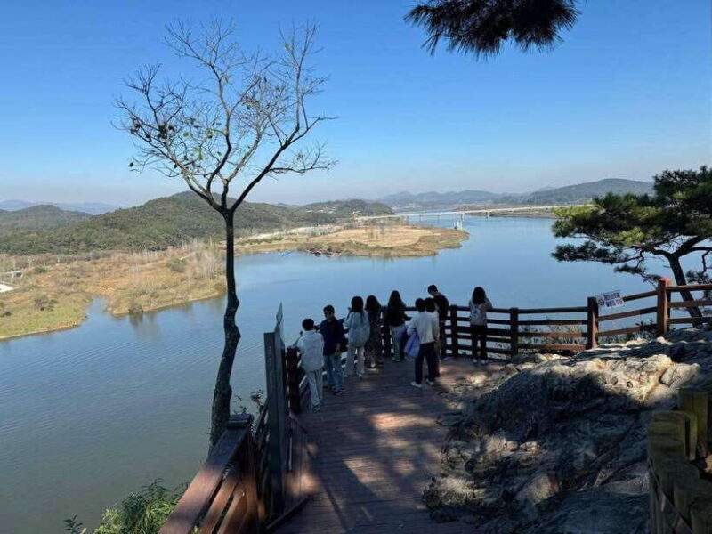 From Seoul: Buyeo Day Trip with Baekje Kingdom History - Authentic Experiences and Traveler Insights