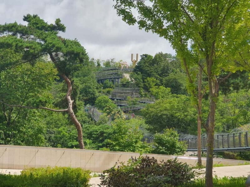 From Seoul: Closest Observatory to DMZ (Starbucks Tour) - Final Thoughts