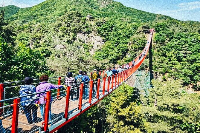 From Seoul: Exclusive DMZ Tour with North Korean Defector Meet-Up - In-Depth Breakdown of the Itinerary