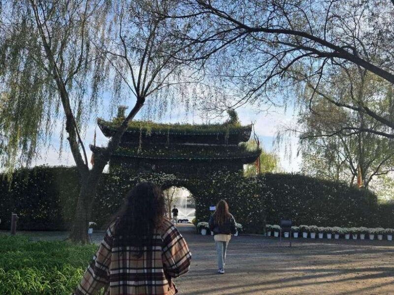 From Seoul: Gongju and Buyeo 2-Day Tour with Accommodation - A Deep Dive into the Experience