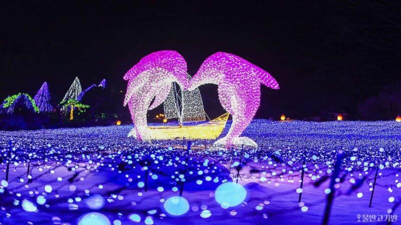 From Seoul: Hwacheon Ice Fishing and Lighting Festival Tour - Discover the Charm of Korean Winter on a Full-Day Tour from Seoul