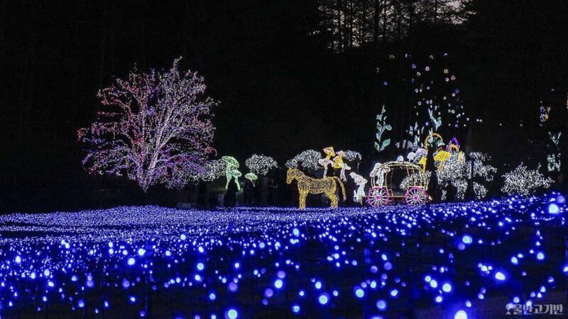 From Seoul: Hwacheon Ice Fishing and Lighting Festival Tour - An In-Depth Look at the Winter Wonderland Tour