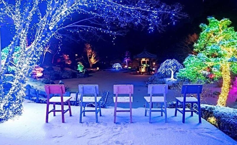 From Seoul: Hwacheon Ice Fishing and Lighting Festival Tour - Final Thoughts