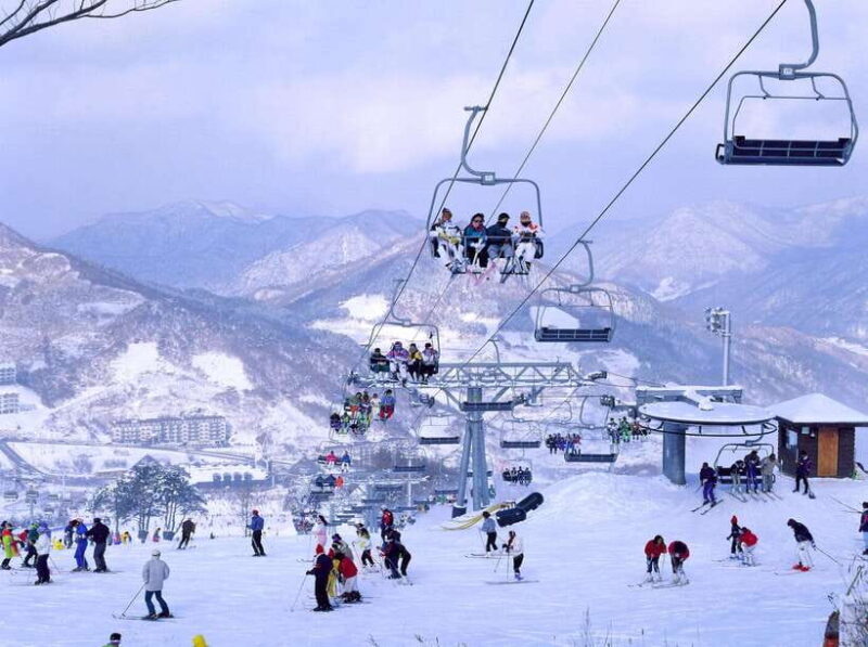 From Seoul: Korea Ski Tour - Jisan Forest Resort - The Experience in Detail