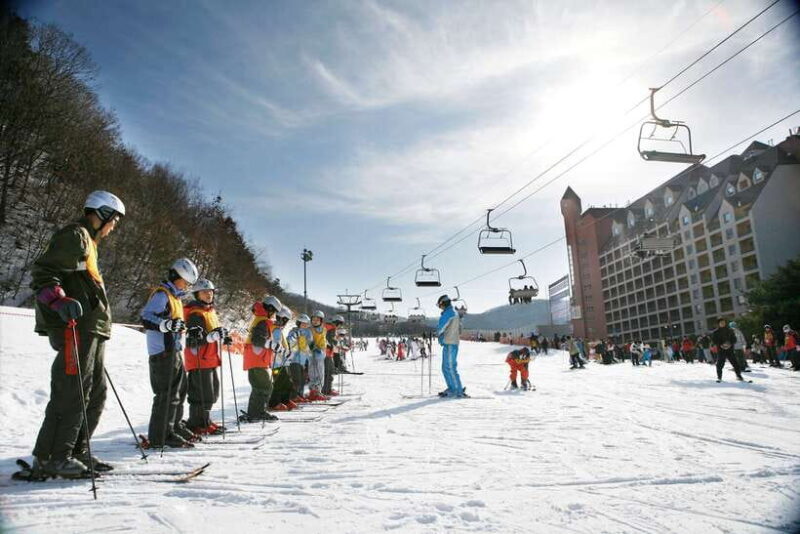 From Seoul: Korea Ski Tour - Jisan Forest Resort - Authentic Feedback from Travelers