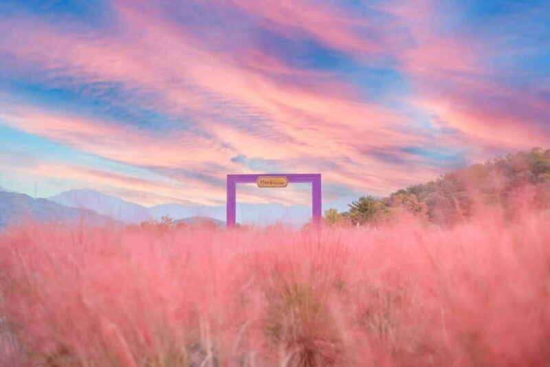 From Seoul: Pocheon, Sanjung Lake and Bidulginang Fall Trip - A Detailed Look at the Experience