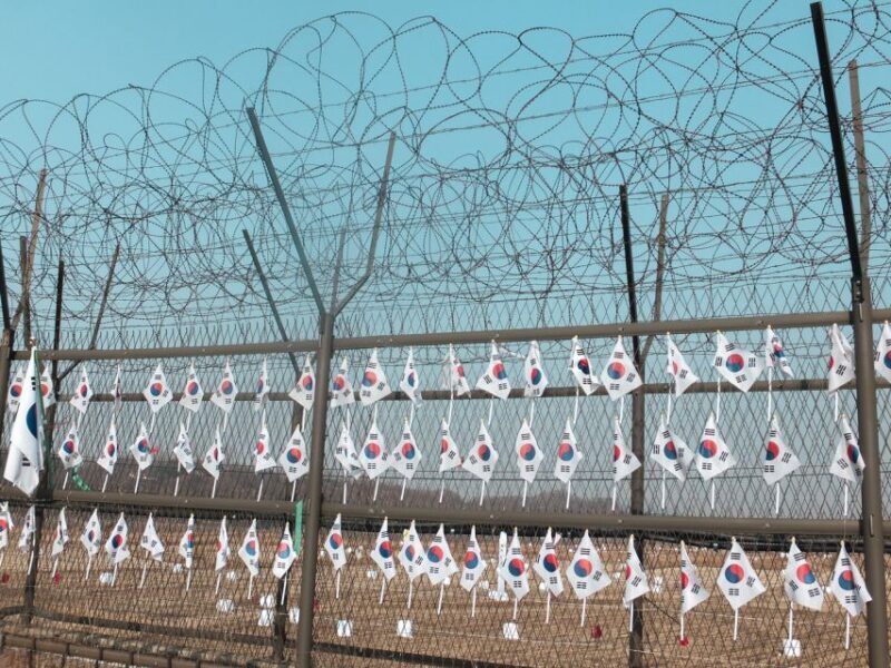 From Seoul: Private DMZ and Odusan Observatory Full-Day Tour - An In-Depth Look: What Makes This Tour Special